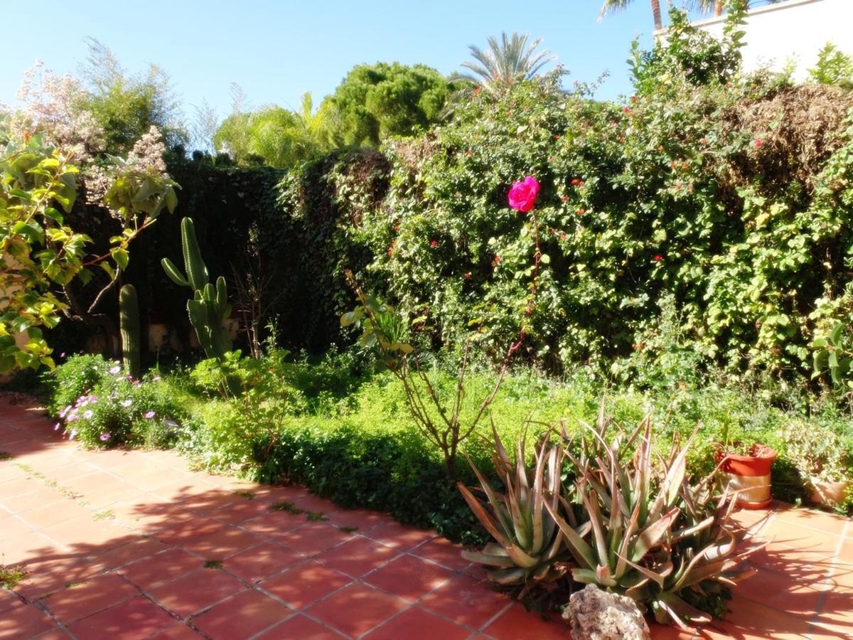 Villa Del Duque, Gandia - Playa de Gandia 외부 사진