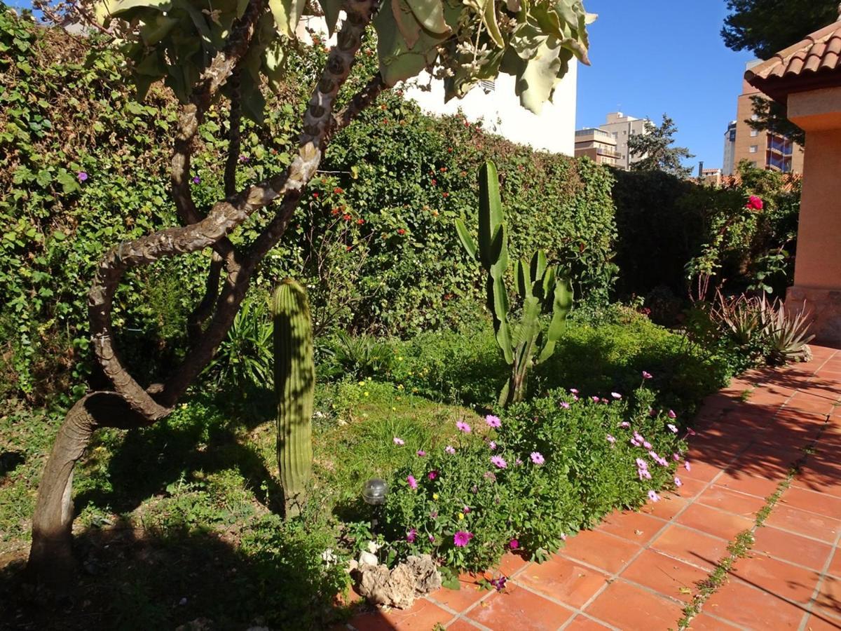 Villa Del Duque, Gandia - Playa de Gandia 외부 사진